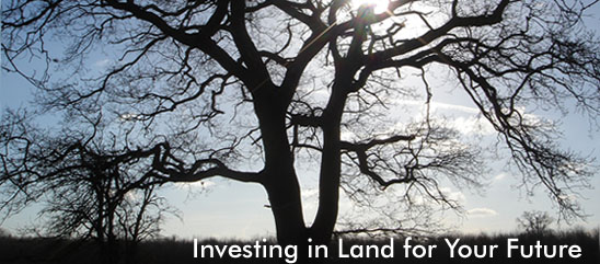 Strapline - Investing in Land for Your Future
